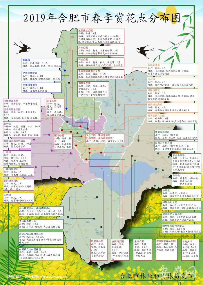 TIM圖片20190307131805