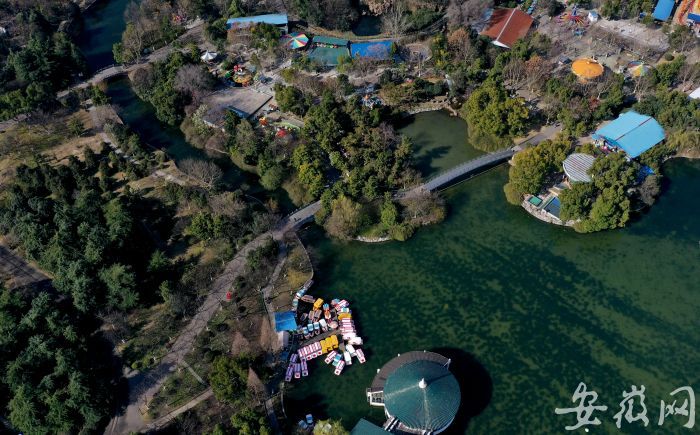 6 公園里春意融融