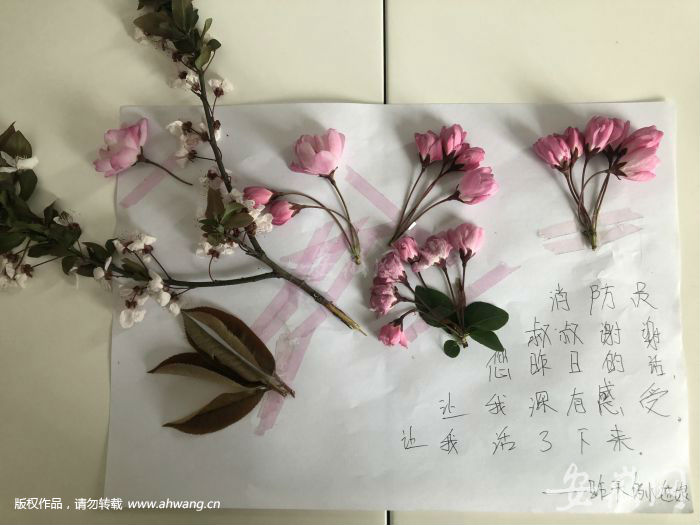 被救女孩親手制作的卡片和花束