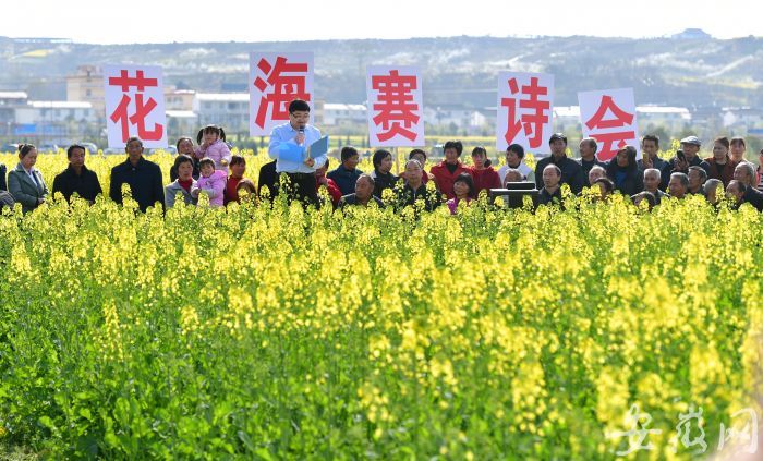 3月23日,陕西省洋县草坝村,十多名当地诗歌爱好者在油菜花田边举行了