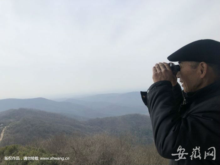 滁州1家4代24口人接力植樹造林60年 荒山變林海