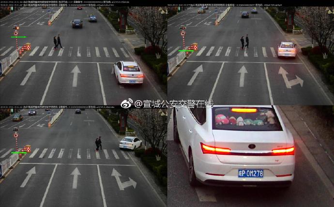 宣城曝光不禮讓斑馬線車輛 車牌號清晰可見