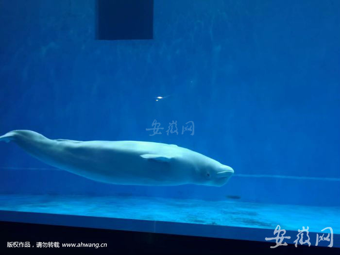 QQ圖片20190321153241