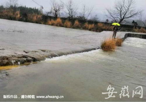 QQ圖片20190303205414