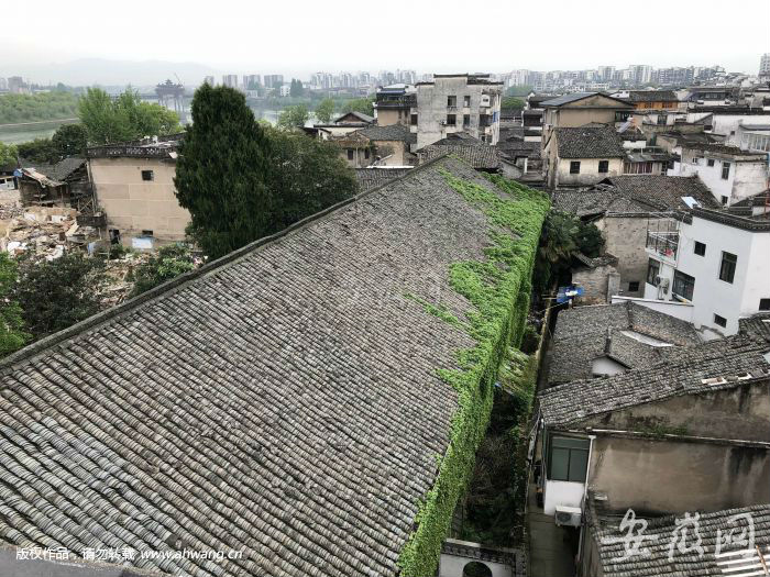 文教局樓右側(cè)