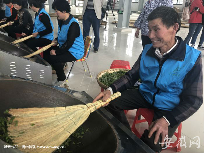 陳澤申在炒制六安瓜片。