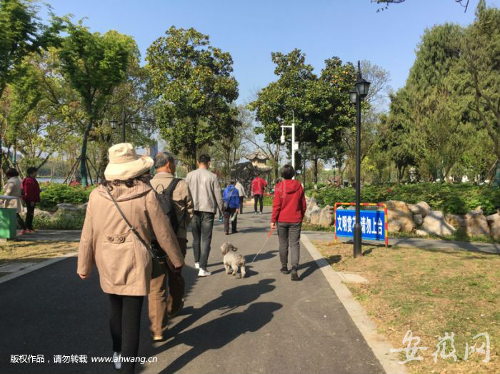有游客帶著狗逛蓮湖公園。