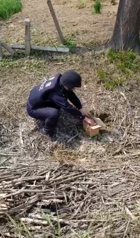 TIM圖片20190408105829