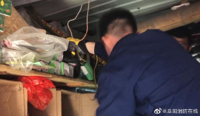 1.5米長大蛇藏身阜陽商鋪  店主：已多次被蛇”光顧“