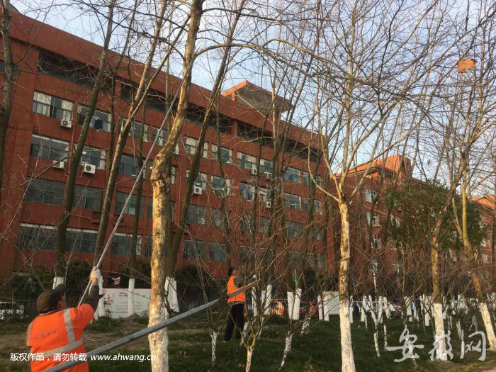 TIM圖片20190402140008