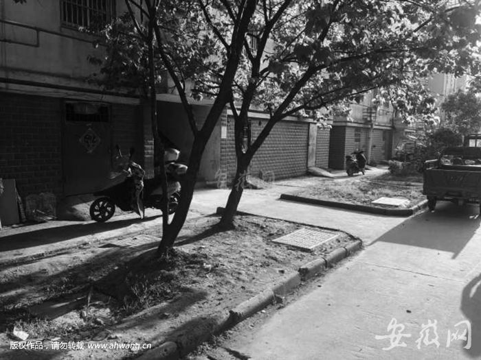 A06042001