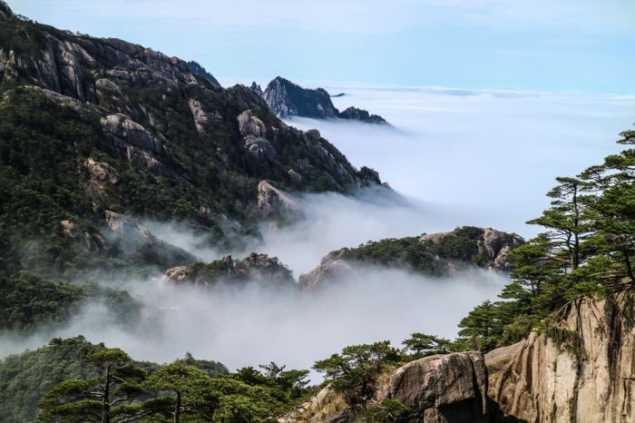 李金刚 (8)