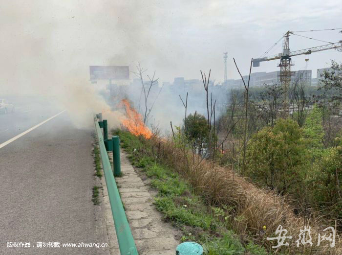 蕪湖村民上墳燒紙引發火災 火點就在高速公路旁