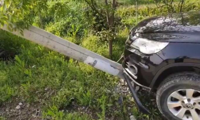 女司機錯把油門當剎車撞電線桿 邊撞邊喊“完蛋了”
