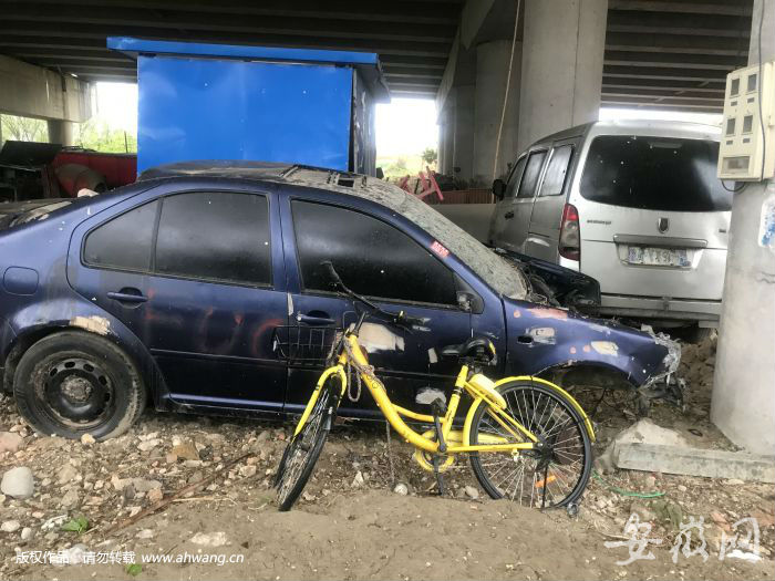 数百辆“僵尸车”藏在合肥一立交桥下 如“汽车坟场”