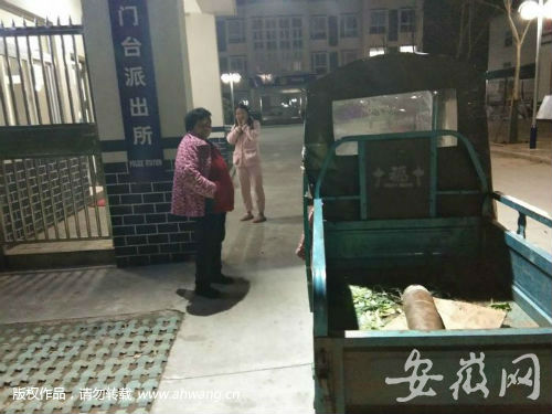 QQ圖片20190414181756