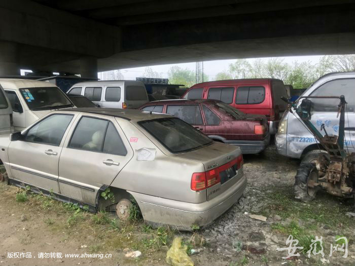 数百辆“僵尸车”藏在合肥一立交桥下 如“汽车坟场”