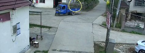 TIM圖片20190403163228