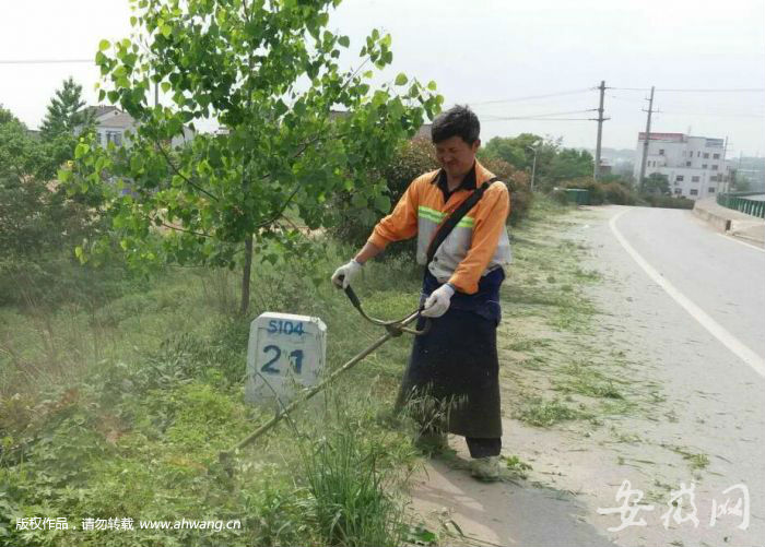 合肥出城道路完成养护保洁 保障市民五一出行