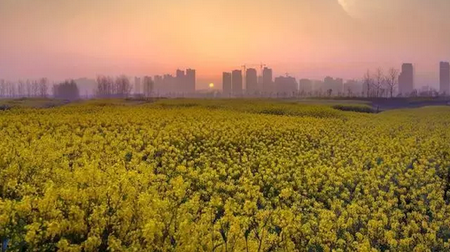 QQ图片20190417103810