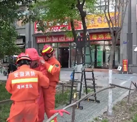 QQ圖片20190418202823