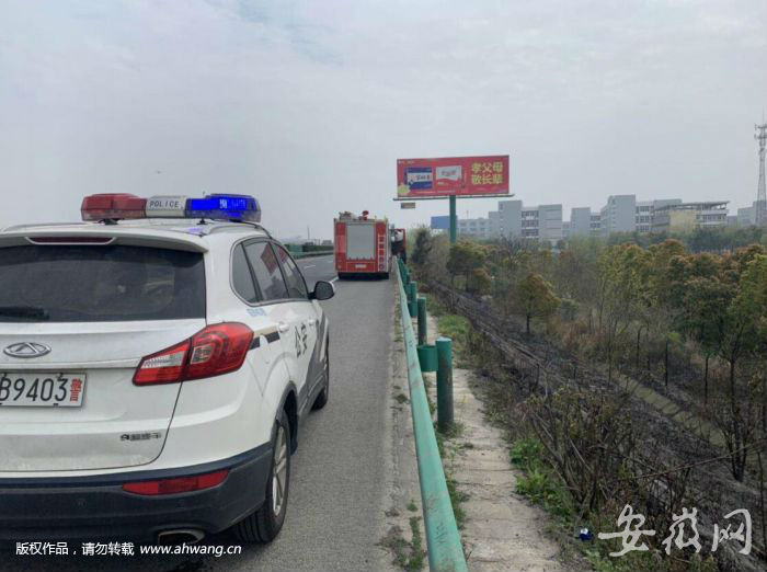 蕪湖村民上墳燒紙引發火災 火點就在高速公路旁