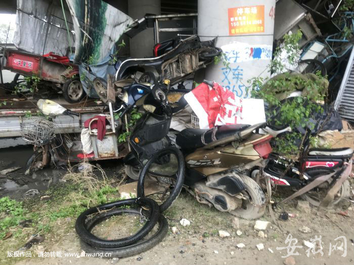 数百辆“僵尸车”藏在合肥一立交桥下 如“汽车坟场”