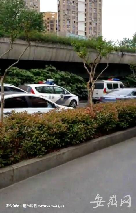 合肥高架橋下驚現一具男尸 現場能聞到腐臭味
