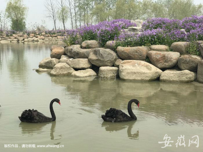 QQ圖片20190405114152