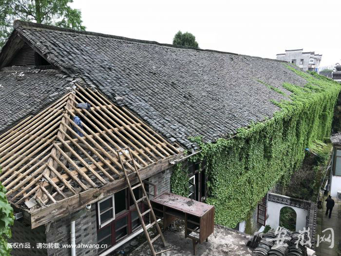文教局頂樓