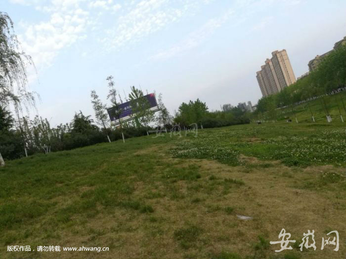 匡河南岸景色難看。