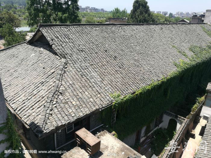 QQ圖片20190522172226