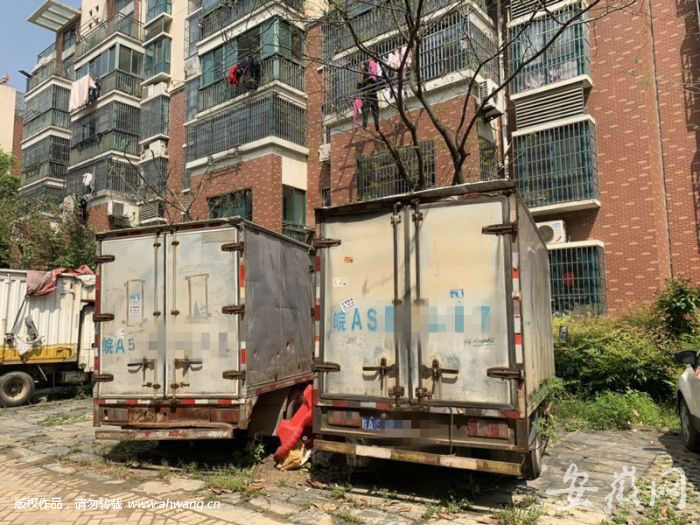 合肥僵尸車治理難：認定難 管理權責劃分說不清