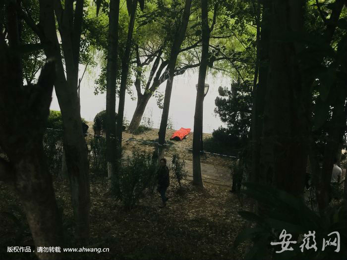 浮尸驚現合肥杏花公園 被發現時頭露在水面