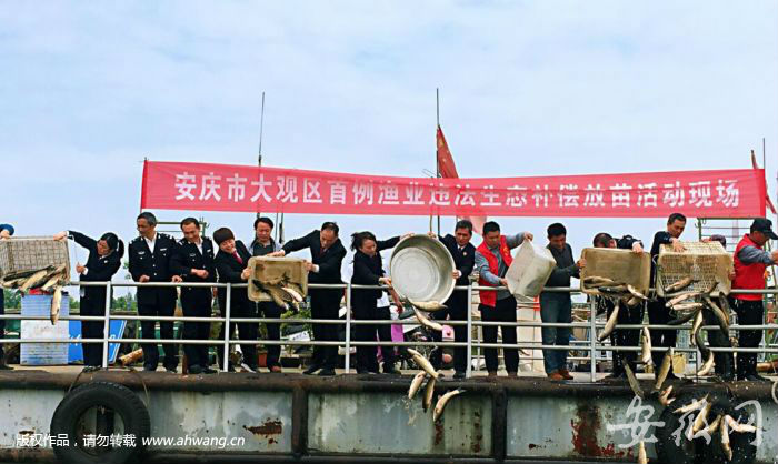 非法捕魚14公斤 被判放流魚苗34.5萬尾