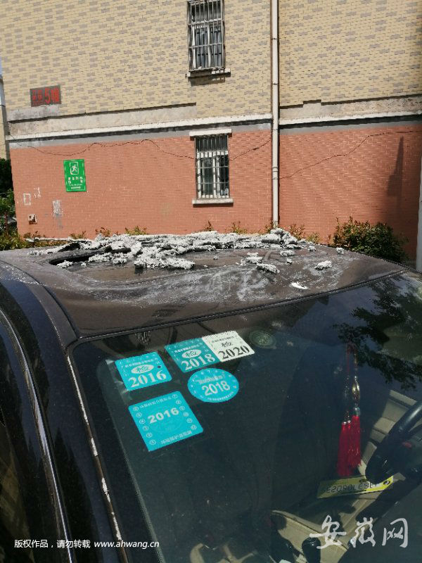 mmexport1557051825548