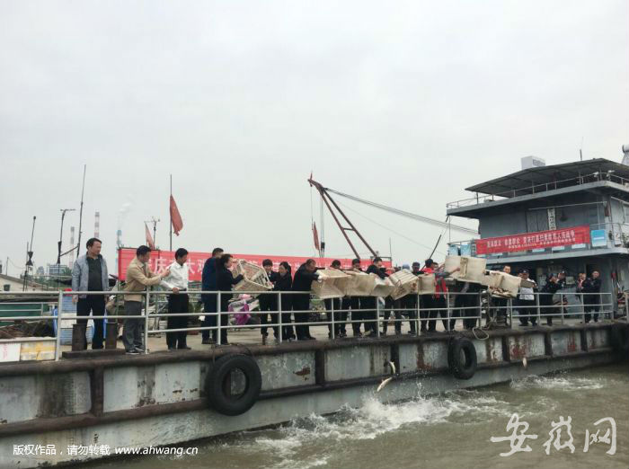 非法捕魚14公斤 被判放流魚苗34.5萬尾