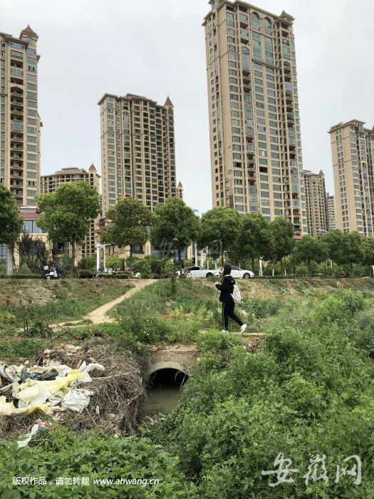 在湖邊的興民路排水口，記者看到，水溝向龍子湖方向蔓延，水面上漂浮著青苔，兩邊堆積著一些垃圾。
