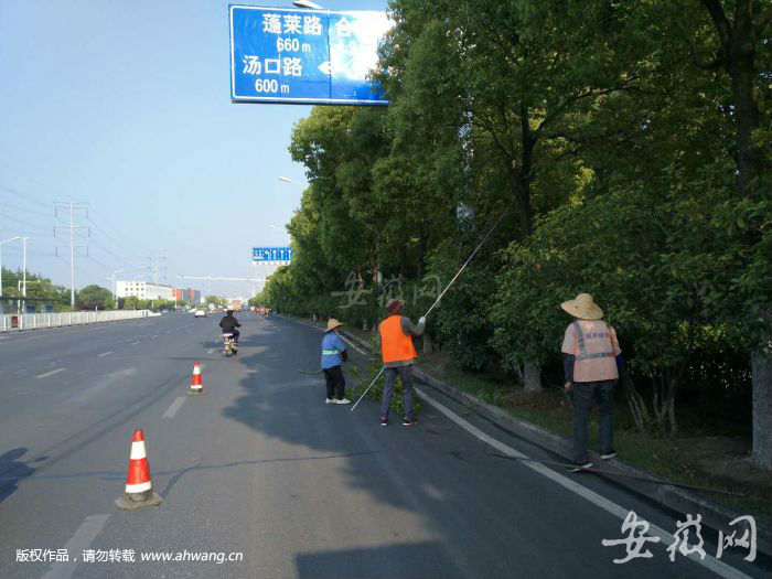 QQ圖片20190521205817