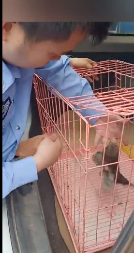 QQ圖片20190516134420