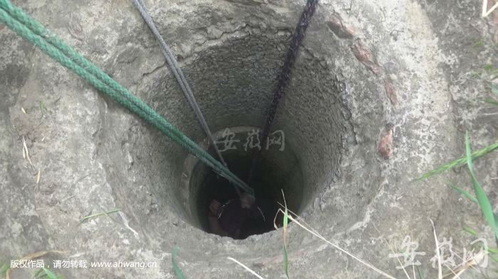 QQ图片20190516084312