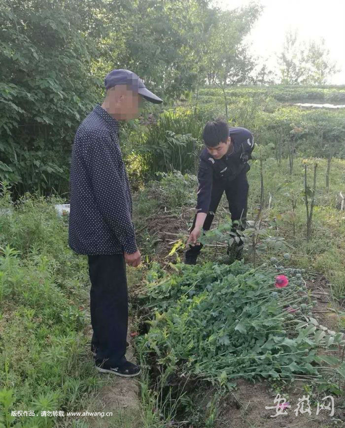 QQ图片20190429222705