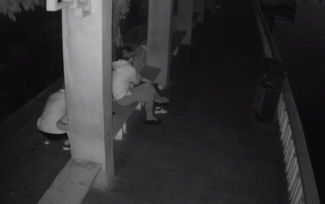 合肥一对情侣晚上在公园亲热 太投入致手机被偷