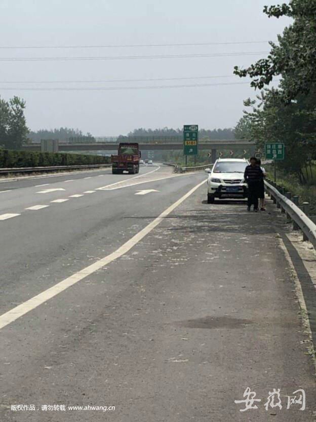女司機高速逆行稱導航帶的 交警: 導航不背這鍋