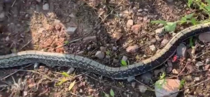 TIM圖片20190515092043