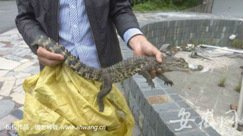 QQ圖片20190519193557