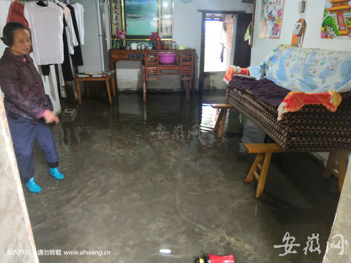 QQ圖片20190621135102
