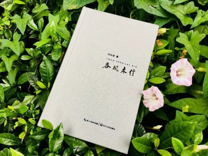 QQ圖片20190613134626