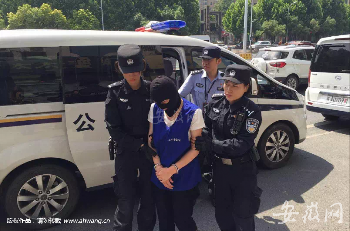 QQ圖片20190605151405