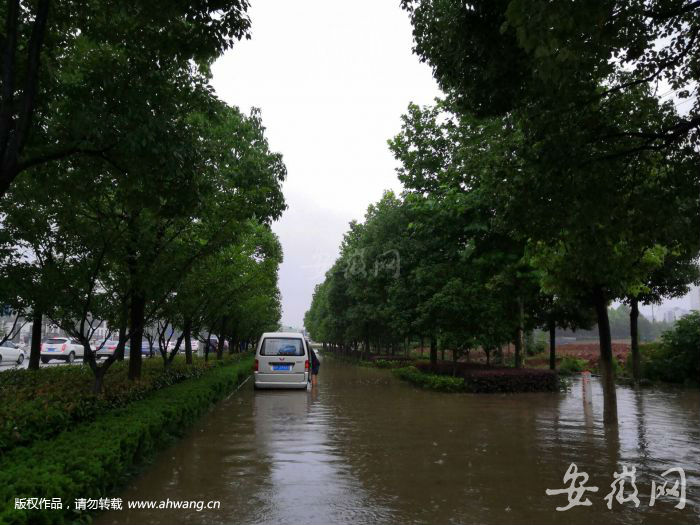 TIM圖片20190621090237